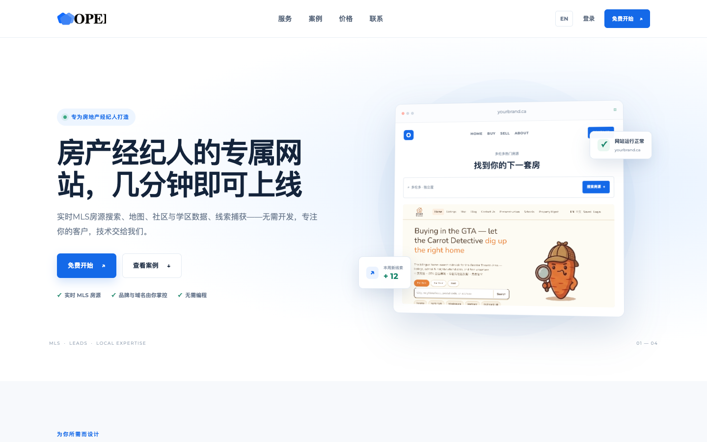 Opei 网站首页截图